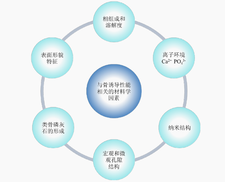 Osteoinductive properties of calcium phosphate ceramic bone repair materials